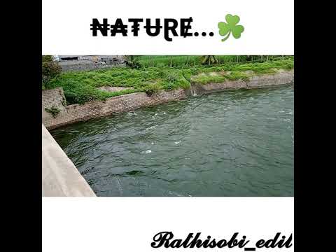 Bavani near thevur dam...Nature#short#rathisobi_edit#cover