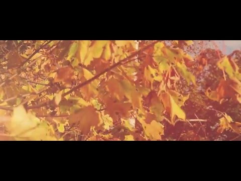 Lukas Termena - Autumn Walk (Original Mix)