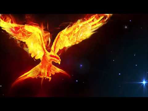 "La tana di Buddy" - Chiara Farruggio