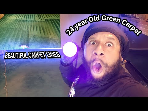 24 year old Green carpet full of hidden pet stains and odor |Carpet cleaning vlog Episode 253
