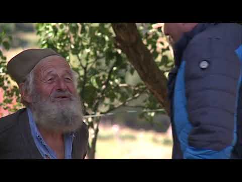 ZAPIS O SELU MOSOROVICI