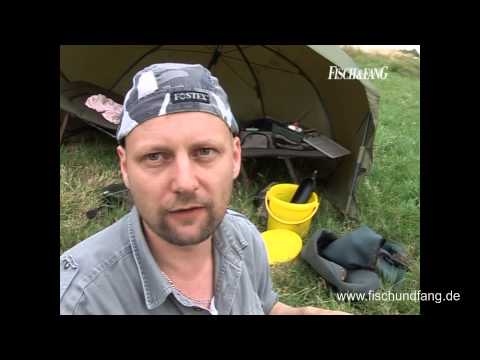 Ansitz auf Karpfen mit Matze Koch