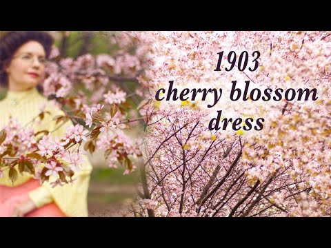 I made an Edwardian cherry blossom dress! Lace shirtwaist and trumpet skirt from 1903