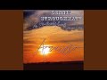 You Re Stronger Than Me Feat Lloyd Green Pig Buddy Spicher Pete Wade Pig Robbins Willie