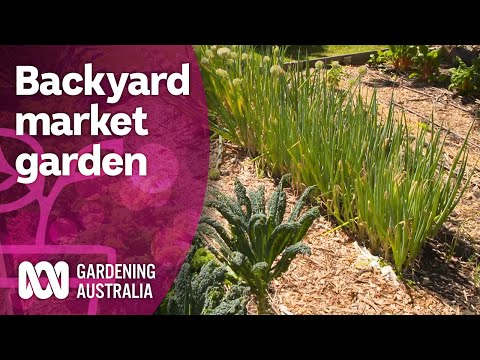 Designing a backyard market garden to feed the local community | Discovery | Gardening Australia