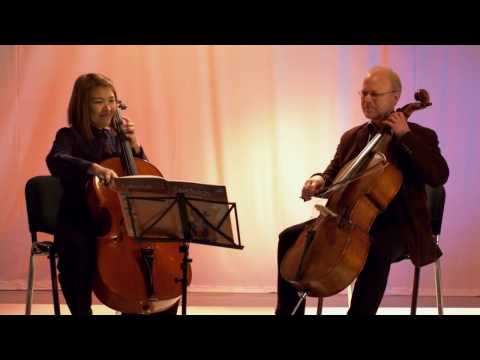 Koeppen Cello Method: No Risk No Fun (Tune Book 2)