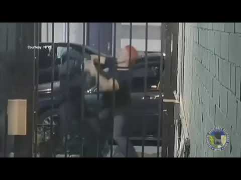 NYPD Street Brawl