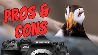 PROS and CONS of the OM SYSTEM OM-1 MK II - WILDLIFE FIELD REVIEW