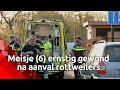 Meisje (6) ernstig gewond na aanval van twee rottweilers