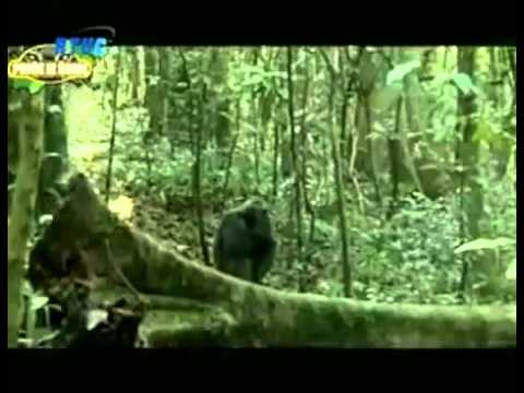 Cazinska audicija 2014 PRICE IZ SUME