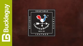 Conceria La Bretagna, Gaucho Oil | Dark Brown | Veg Tan Leather Demo