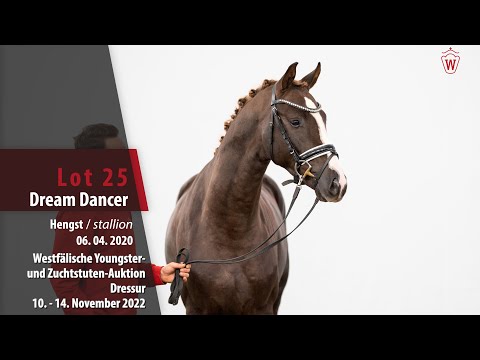 Online-Auktion Lot 25 Dream Dancer Hengst v. Donier - Florenciano