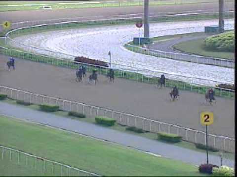 20110224 SG PRACTICE TRIAL 1000M (POLYTRACK) - ROCKET MAN (B Vorster)
