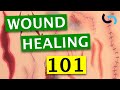 Wound Healing - Everything You Need to Know