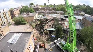 Album cover: Crane tree work 