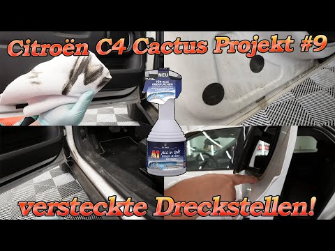 Citroën Projekt Teil 9 - Diese Dreckstellen vergessen so viele! Dr.Wack All-in-One für ALLES?