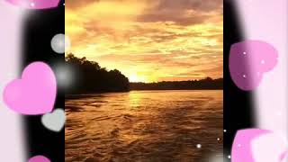 Download lagu story WA Wawan D'cozt Akasia/akankah kau setia reff video cover mp3 Download lagu story WA Wawan D'cozt Akasia/akankah kau setia reff video cover mp3