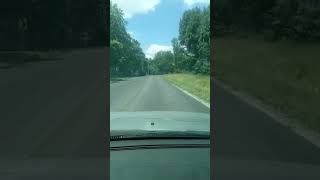 Lil Ozarks Mountain Daredevils While Driving The #Ozarks Back Roads! Plz Like &amp; Subscribe! #driving