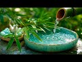 Best Mental Care Relaxing Music Water Sound Spa Music