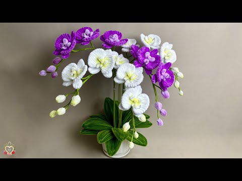 How to make and arrange super beautiful pots of Phalaenopsis orchids with Pipe Cleaner | Fuzzy Wire