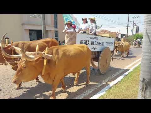 Cavalgada em Piranhas (GO) 2026 " CARROS DE BOI" 