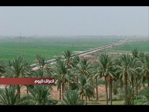 النجف  تطرح الاف الدونمات من اراضيها الصحراوية للاستثمار الزراعي