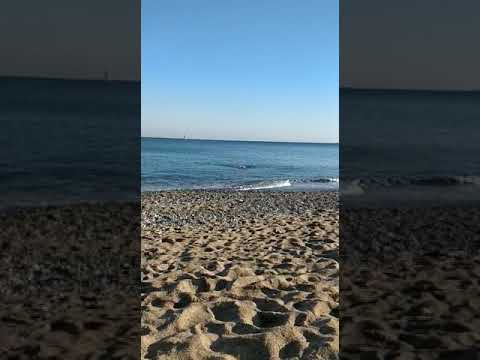 End of the swimming, December 8, 2019