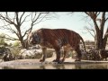 Disney S The Jungle Book Story Featurette Available On Blu Ray DVD And Digital NOW