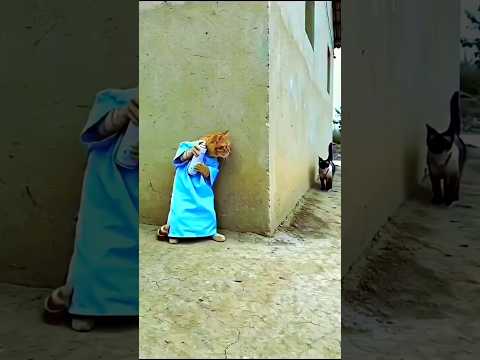 Behind the scenes of a disaster #funny #bloopers