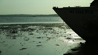 Andy Newton - "I Guess That Really Was the Last Time"