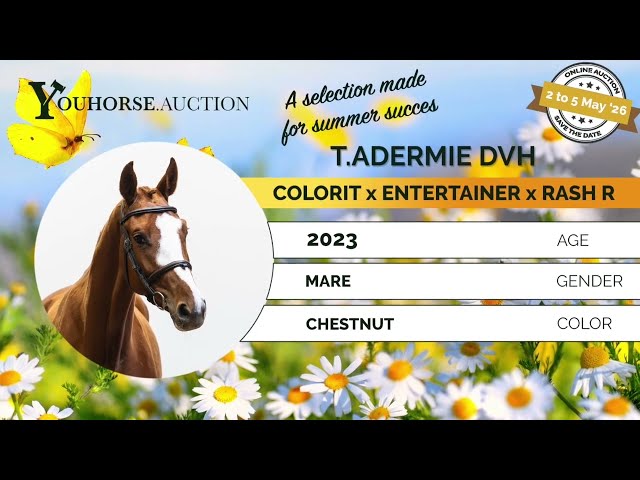 T. Adermie DVH flatwork