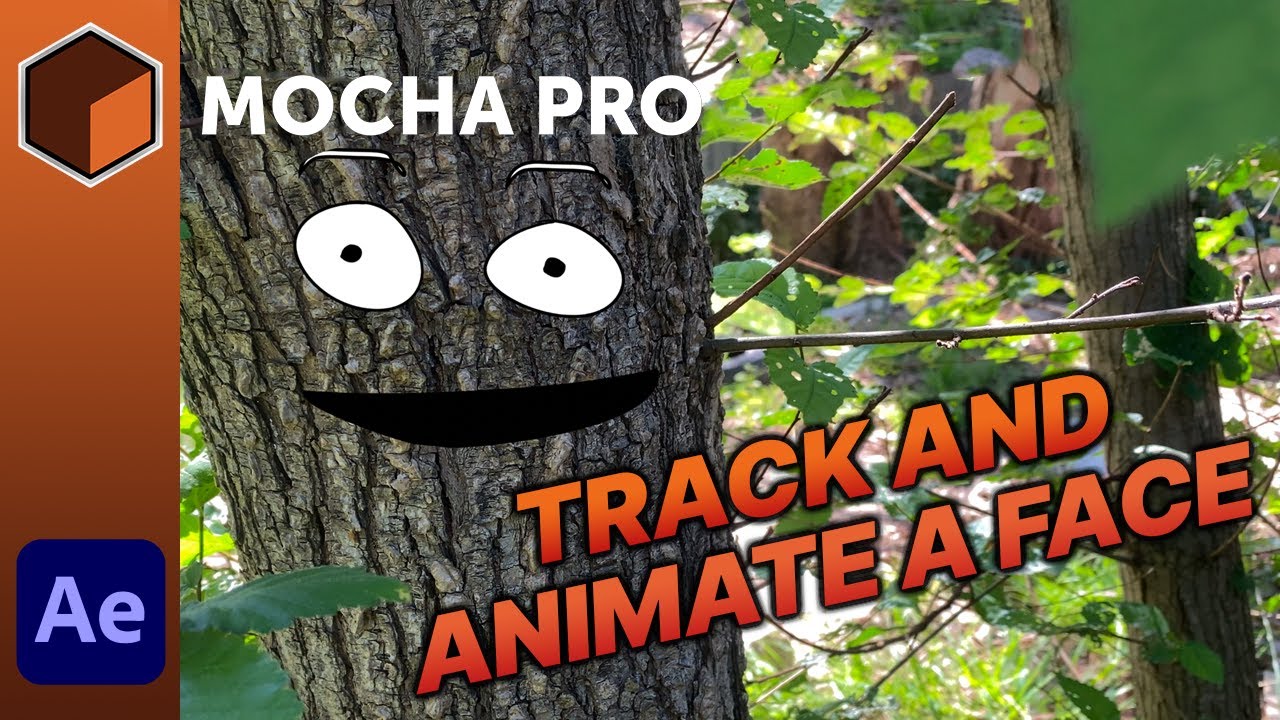 Tracking and Animating a Face with Mocha Pro