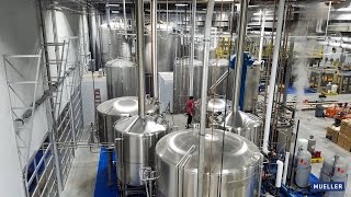 50 Barrel Automated Brewhouse Build