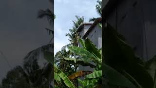 Download lagu bukti nyata top sandro di sumatra 081355617799 mp3 Download lagu bukti nyata top sandro di sumatra 081355617799 mp3