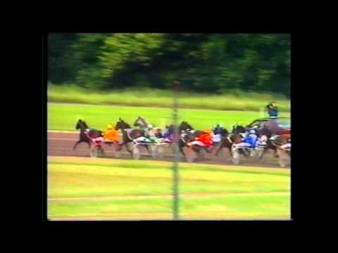 Derby G 1992_Gypsy Westland 1:19,3