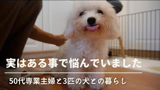 50代主婦と3匹の犬との暮らし / 子犬のトイレトレーニング / 主婦の昼ごはん / 犬のいる暮らし / せいろ蒸し料理 / トイプードル / ビションフリーゼ