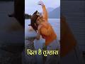 Mastana Mausam Hai Rangeen Nazara Dil Hai Tumhara Aajse Janeman Dil Hai Tumhara Reels