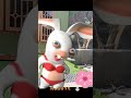 Rabit Gak Jelas Shortvideo Vidioanimasi