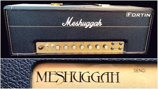 Video thumbnail for Sure it DJENTS but does it sound like a PLEXI?? Fortin Meshuggah Signature! by Johan Segeborn