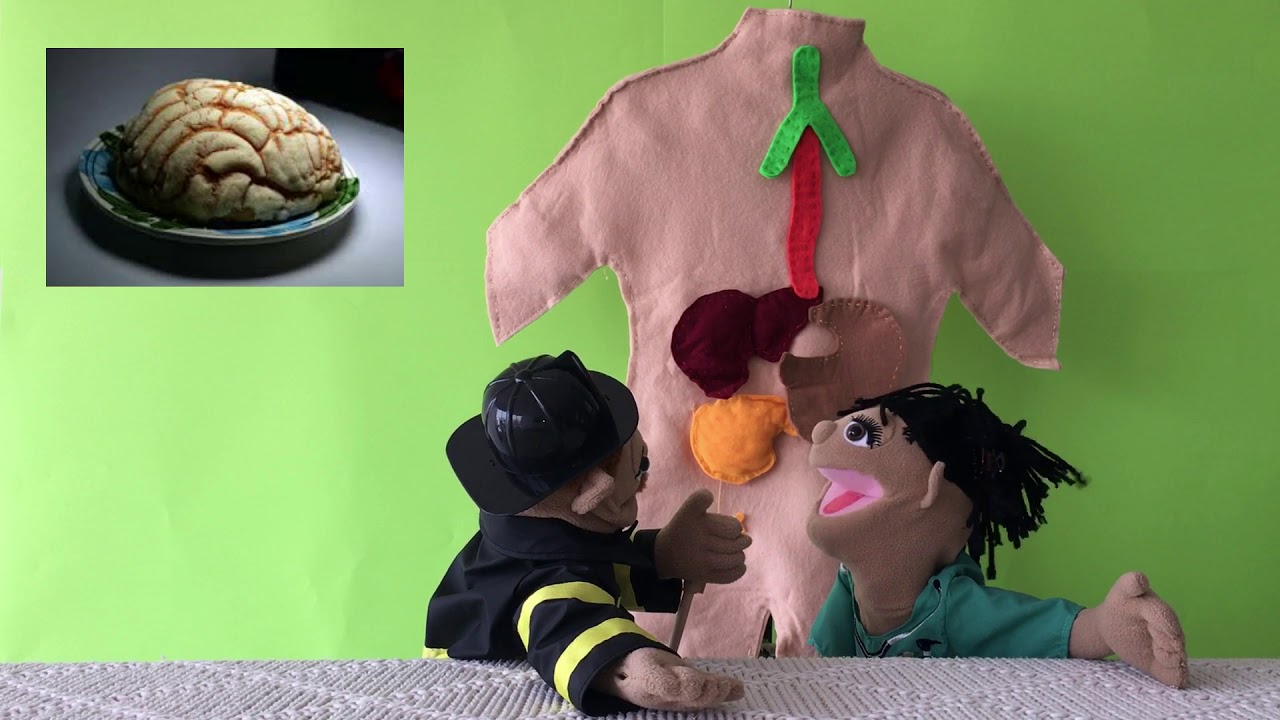 Marcela García Huerta-26