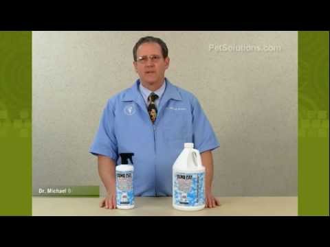 PetSolutions: Dumb Cat Brand Anti-Marking & Spray Remover