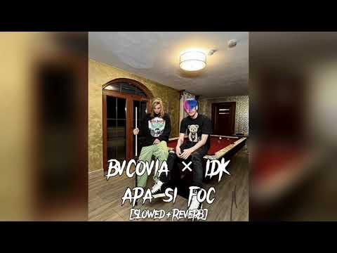 BVCOVIA × IDK - Apa & Foc [Slowed + Reverb]