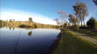 preview picture of video 'Bass Fishing Santee Lakes Montage'