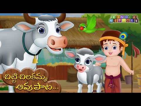 Aavu paata + Enugamma + Chitti chilakamma | Krishna Janmashtami Special Live | Kinder Network