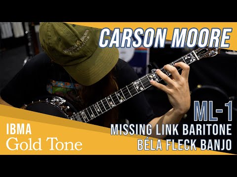 Gold Tone Mastertone™ ML-1: Missing Link Béla Fleck Baritone Banjo with Case image 12