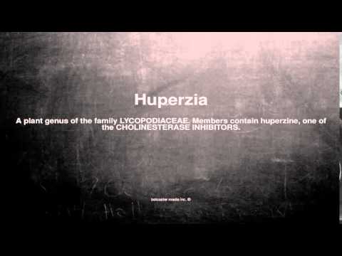 Medical vocabulary: What does Huperzia mean