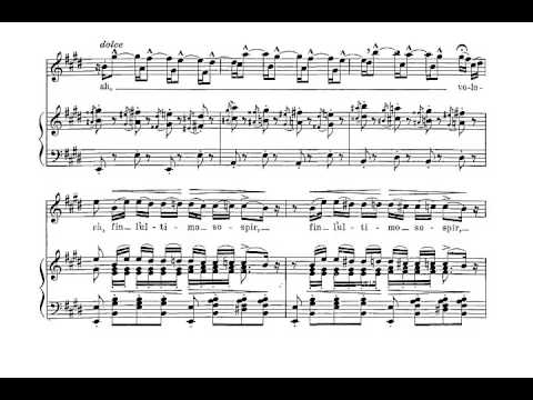 Caro nome (Rigoletto - G. Verdi) Score Animation