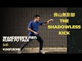 The Shadowless Kick Fat Shan Mo Ying Gerk 佛山無影踢 Wanderers Fist Kung Fu Talk Ep1