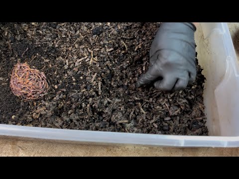 Moving Worms To Get the Job Done