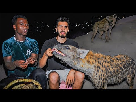 I met the ONLY hyena tamer in the WORLD.